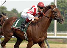 Turf Veteran Silver Tree Looks to Stay Hot Turf Veteran Silver Tree Looks to Stay Hot