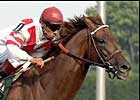 Turf Veteran Silver Tree Looks to Stay Hot Turf Veteran Silver Tree Looks to Stay Hot