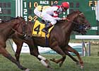 Silver Tree Wins Thrilling Oceanport
