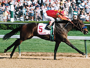 2009 Hall of Fame: Bullet Train 2009 Hall of Fame: Bullet Train