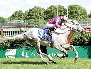 Veteran Stakes Gelding Silverfoot Retired Veteran Stakes Gelding Silverfoot Retired