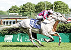 Veteran Stakes Gelding Silverfoot Retired Veteran Stakes Gelding Silverfoot Retired