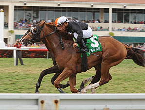Simmard Going for Second Graded Win This Year Simmard Going for Second Graded Win This Year