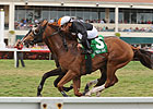 Simmard Going for Second Graded Win This Year Simmard Going for Second Graded Win This Year