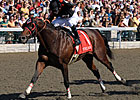 Remington Sprint Cup Attracts Sing Baby Sing Remington Sprint Cup Attracts Sing Baby Sing