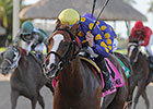 Gold Has Six in Florida Sires Stakes Series Gold Has Six in Florida Sires Stakes Series