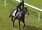 Singapore Racing Preview 5/15/2012