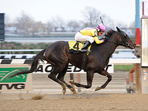 Singlet Trumps Elders in Garland of Roses