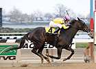 Singlet Trumps Elders in Garland of Roses