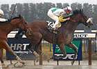 Sir Greeley Skims Rail To Take Toboggan
