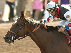 Siren Lure After Milestone in SF Mile Siren Lure After Milestone in SF Mile