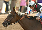 Siren Lure After Milestone in SF Mile