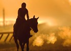 Slideshow: Skip Dickstein Saratoga Highlights Slideshow: Skip Dickstein Saratoga Highlights