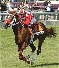 Sky Conqueror Powers Home in Northern Dancer BC Sky Conqueror Powers Home in Northern Dancer BC