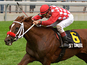 Sky Conqueror to Firestone Farms Sky Conqueror to Firestone Farms