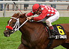 Sky Conqueror  to Firestone Farms