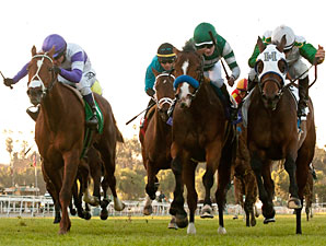 Providencia Fillies Seek First Graded Win Providencia Fillies Seek First Graded Win