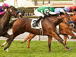 Sky High Gal Tops Sadler Trio in Las Cienegas Sky High Gal Tops Sadler Trio in Las Cienegas
