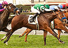 Sky High Gal Tops Sadler Trio in Las Cienegas Sky High Gal Tops Sadler Trio in Las Cienegas