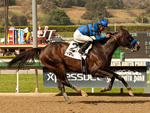 Sky Kingdom Tries Turf in San Juan Capistrano Sky Kingdom Tries Turf in San Juan Capistrano
