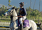 Guineas Winners Set for Rematch in Coronation