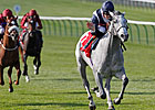 Sky Lantern Shines Bright in Sun Chariot Sky Lantern Shines Bright in Sun Chariot