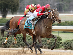 Sky Mom, Grace Anatomy Top Sunland Oaks Sky Mom, Grace Anatomy Top Sunland Oaks