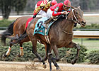 Sky Mom, Grace Anatomy Top Sunland Oaks 
