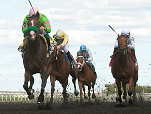Trainer Casse Enters Four Fillies in Natalma Trainer Casse Enters Four Fillies in Natalma