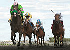 Trainer Casse Enters Four Fillies in Natalma Trainer Casse Enters Four Fillies in Natalma
