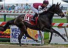 Skylighter Easily Wins Allaire duPont