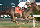 Skylighter Breaks Clear in Indiana Oaks Skylighter Breaks Clear in Indiana Oaks