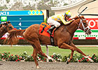 Skyway Gets Casse Started With Best Pal Win Skyway Gets Casse Started With Best Pal Win