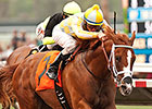 Best Pal Winner Skyway Pointing for Futurity Best Pal Winner Skyway Pointing for Futurity