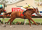Best Pal Winner Skyway Returns for Futurity Best Pal Winner Skyway Returns for Futurity