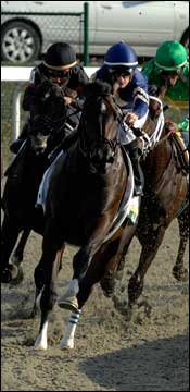 Slew's Tiznow Scratched Due to Fever Slew's Tiznow Scratched Due to Fever