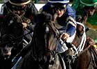 Slew's Tiznow Scratched Due to Fever Slew's Tiznow Scratched Due to Fever
