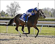 'Tizzy Leaves Foes Dizzy in Lexington Stakes 'Tizzy Leaves Foes Dizzy in Lexington Stakes
