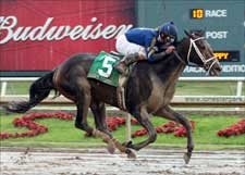 Slew's Tizzy Stays Busy in Sloppy Lone S Slew's Tizzy Stays Busy in Sloppy Lone S