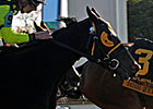 OTBO Announces 2009 Champions OTBO Announces 2009 Champions