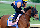 Slideshow: Kentucky Oaks Field
