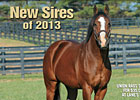 Slideshow: New Sires of 2013