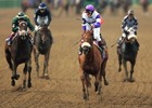 Slideshow: Breeders' Cup Leading Sires Slideshow: Breeders' Cup Leading Sires
