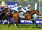 Slideshow: Breeders' Cup Mile