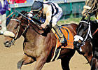 Slideshow: Breeders' Cup Sprint