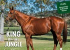 Slideshow: New Sires of 2014 Slideshow: New Sires of 2014