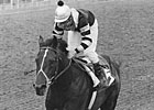 Slideshow: Triple Crown Winners Slideshow: Triple Crown Winners