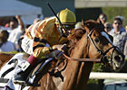 Slideshow: 2012 Horse of the Year Wise Dan