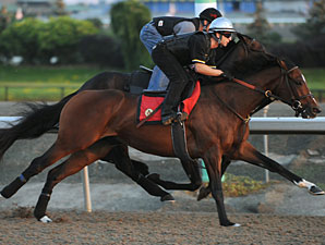 Maiden Solitaire is the Breeders' Choice Maiden Solitaire is the Breeders' Choice