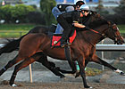 Maiden Solitaire is the Breeders' Choice Maiden Solitaire is the Breeders' Choice